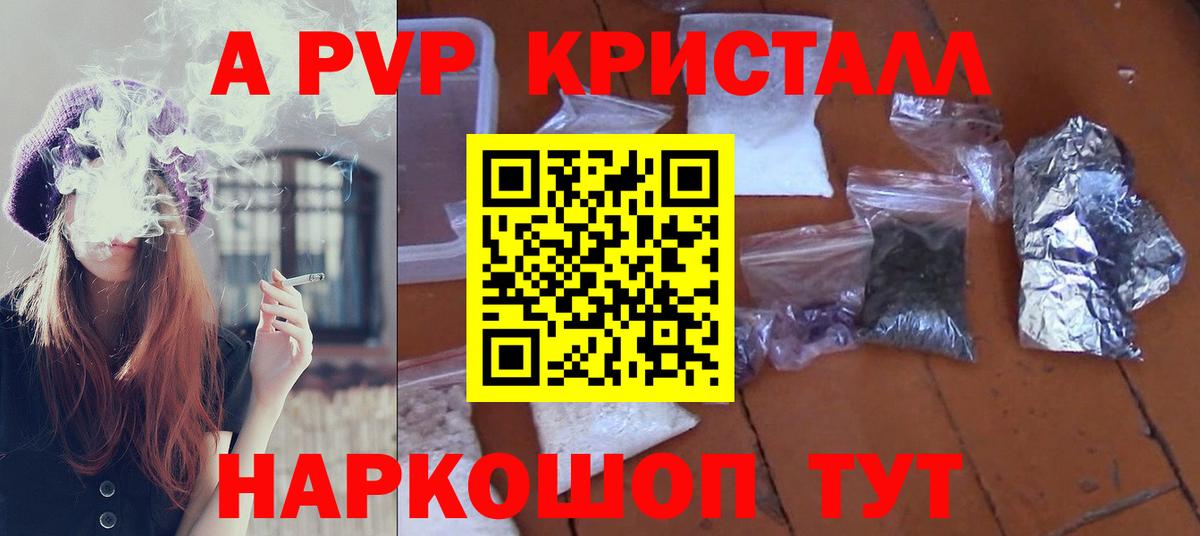 Альфа ПВП СК Ноябрьск