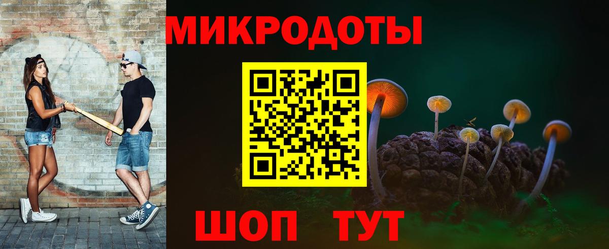 Псилоцибиновые грибы Psilocybe Ноябрьск